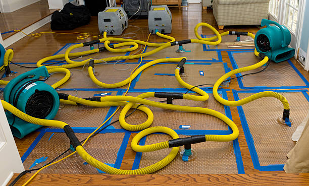 Professional Basement Flood Cleanup technician working in Jasper, MN